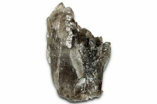 Lustrous Smoky Quartz Crystal Cluster - Malawi #326640