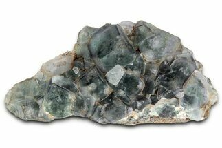 Green Cubic Fluorite Cluster With Purple Phantoms - Okorusu Mine #326546