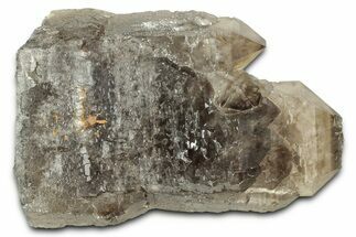 Smoky Quartz Crystal Cluster- Malawi #326666