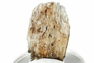Buy Eudidymite