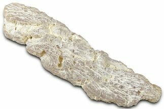 Pink Agate Replaced Petrified Wood Limb Cast - Nevada #326679