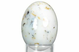 Polished Moss Agate Egg - Australia #326805
