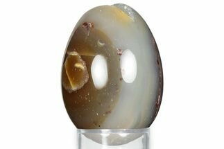 Polished Banded Brazilian Agate Egg #326808