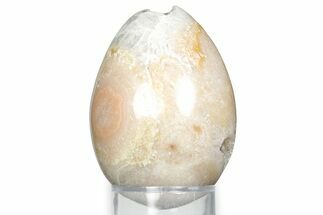 Polished Potato (Dulcote) Agate Egg - England #326814