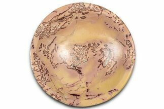 Polished Saharan Desert Jasper Dish - Morocco #326928