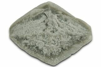 Selenite Crystal - Elder County, Utah #326991