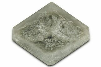 Selenite Crystal - Elder County, Utah #327004