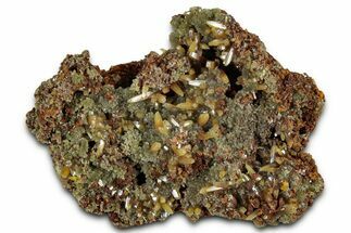 Wulfenite & Green Botryoidal Mimetite Association - Mexico #327468