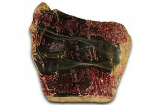 Polished Cherry Creek Jasper - China #326029