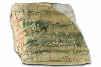 Polished Cherry Creek Jasper - China #326031