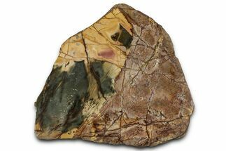 Polished Cherry Creek Jasper - China #326032