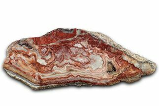 Polished Crazy Lace Agate Section - Mexico #326144