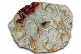 Polished Crazy Lace Agate Section - Mexico #326146