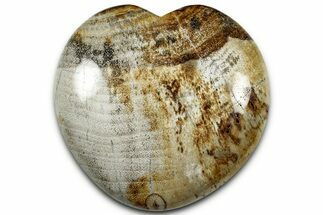 Petrified Wood (Tropical Hardwood) Heart - Indonesia #328330