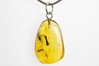 Polished Baltic Amber Pendant (Necklace) - Contains Fly & Leaf! #328456
