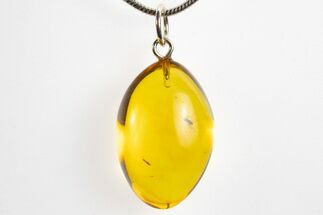 Polished Baltic Amber Pendant (Necklace) - Contains Two Flies! #328475