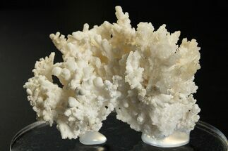 Intricate, Fluorescent Aragonite Formation - Nevada #327500