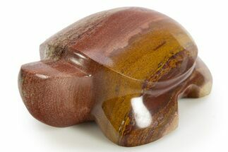 Polished Picture Stone Turtle - Arizona #329331