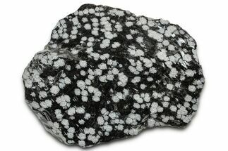 Snowflake Obsidian Section - Utah #327115