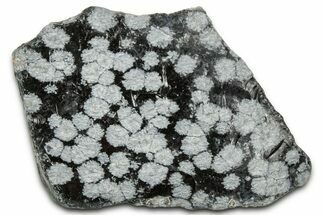Snowflake Obsidian Section - Utah #327135