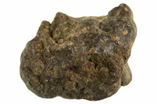 Abadla CM Chondrite Meteorite ( g) - Algeria #313103