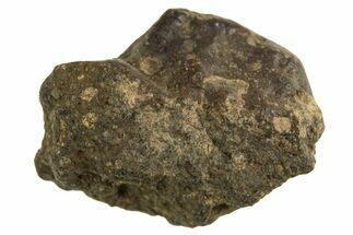 Abadla CM Chondrite Meteorite ( g) - Algeria #313105