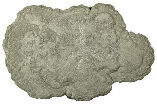 Pyrite Sun - Sparta, Illinois #316003