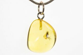 Polished Baltic Amber Pendant (Necklace) - Contains Fly! #328552