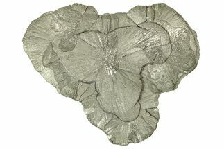 Pyrite Sun - Sparta, Illinois #316008