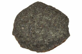 Polished Gold Basin Chondrite Meteorite Slice ( g) - Arizona #329355