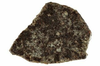 Polished Gold Basin Chondrite Meteorite Slice ( g) - Arizona #329358