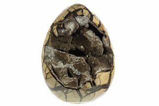 Huge, Septarian Dragon Egg Geode ( lbs!) - Black Crystals #329479