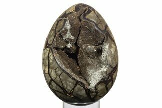 Septarian Dragon Egg Geode ( / lbs!) - Black Crystals #329503