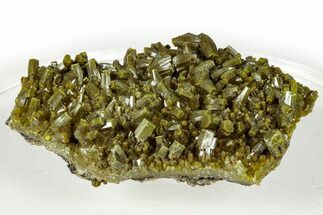 Lustrous Forest-Green Pyromorphite Crystal Cluster - China #330074