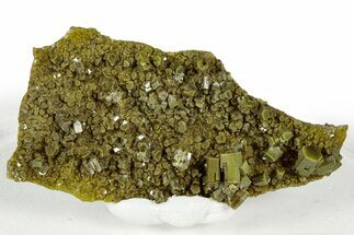 Lustrous Forest-Green Pyromorphite Crystal Cluster - China #330085