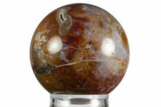 Colorful Polished Petrified Palm Root Sphere - Indonesia #330178