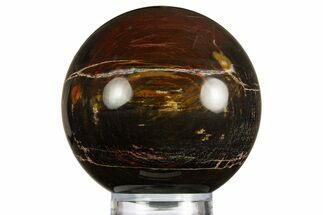 Polished Petrified Wood Sphere #330202