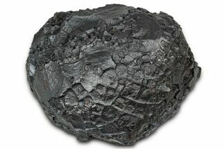 Dragon Scale Stone (Iron, Manganese, Siderite Nodule) #330315