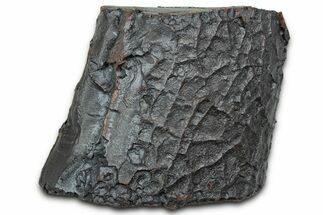 Dragon Scale Stone (Iron, Manganese, Siderite Nodule) #330327