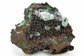 Fibrous Malachite and Rhombohedral Calcite on Limonite - Mexico #330598