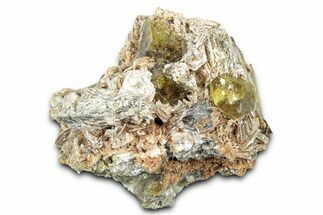 Yellow Andradite-Grossular Garnet Cluster with Clinochlore - Mali #330486