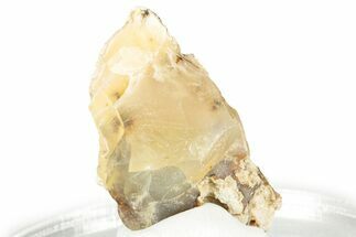 Rough Oregon Fire Opal #330507