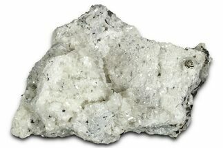 Scalenohedral Calcite Crystal Cluster with Pyrite - Mexico #330565