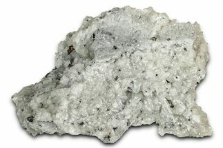 Scalenohedral Calcite Crystal Cluster with Pyrite - Mexico #330574