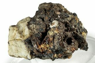 Dark Brown Niobophyllite on Feldspar - Malawi #330862