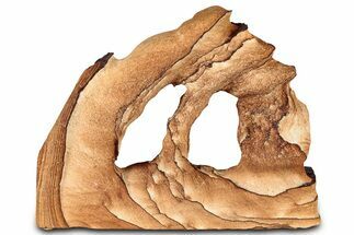 Wide Picture Sandstone Arch - Arizona #331144