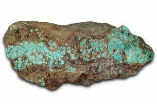 Tumbled Turquoise Specimen - Number Mine, Carlin, NV #331241