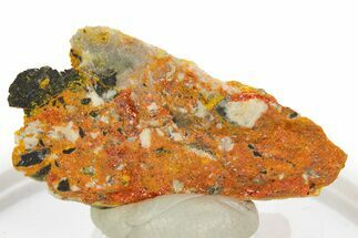 Vibrant Orpiment and Realgar Association - Nevada #331783
