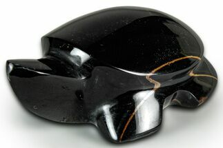 Polished Blue Tiger's Eye Turtle - Mexico #331637