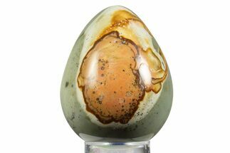 Polished Polychrome Jasper Egg - Madagascar #331729